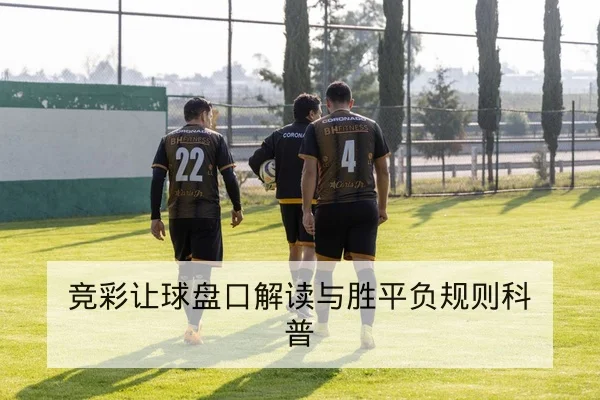 LPL常规赛对阵赛程与BP轮换图表查询